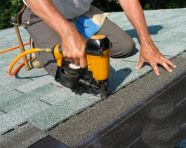 Best Roof Gutter Cleaning  in Hendersonville, NC