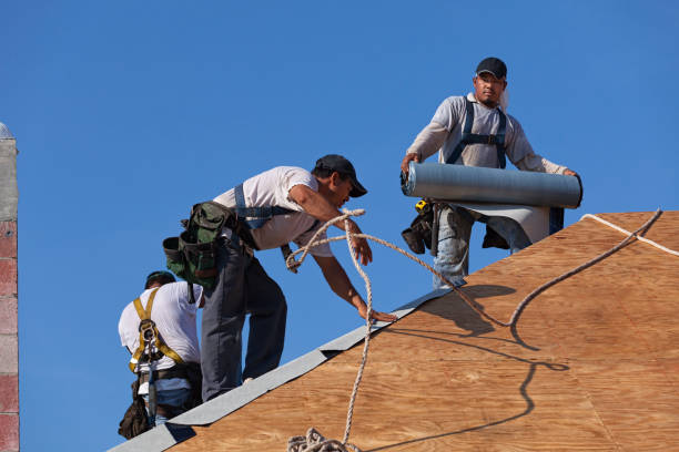 Best Roofing Contractor Near Me  in Hendersonville, NC